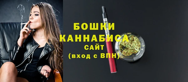 трава Корсаков