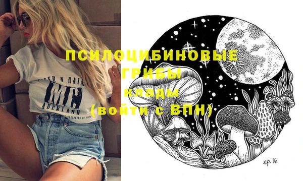 молекула духа Красноперекопск